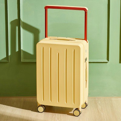 L'impatto delle politiche di riduzione delle tasse sull'esportazione sull'ind...